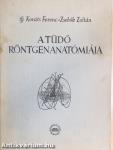 A tüdő röntgenanatómiája