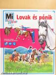 Lovak és pónik