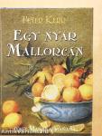 Egy nyár Mallorcán