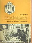 Csikócsapat