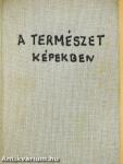 A természet képekben