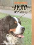 A kutya hétköznapjai