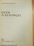 Ilyen a dzsungel