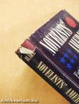 Novelists' America