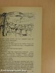 A koppányi aga testamentuma