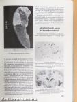 Pathologia I-III.