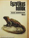 Egzotikus hüllők