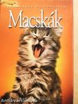 Macskák