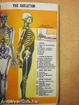 First Aid Textbook