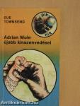 Adrian Mole újabb kínszenvedései