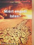 Miért engedi Isten?