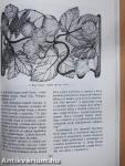 Ars Decorativa 12.