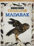 Csudálatos madarak