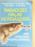 Ragadozó halak horgászata