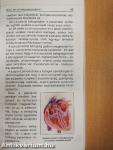 Amit a Pacemaker-ről tudni kell