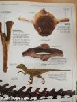 A dinoszaurusz