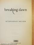 Breaking Dawn