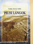 Pilisi lángok