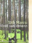 Erdő van idebenn