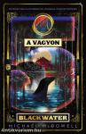 A vagyon