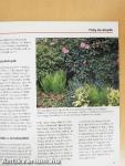 Árnyékos kert