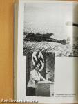 Göring és a Luftwaffe