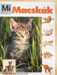 Macskák