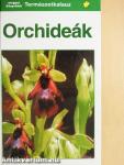 Orchideák