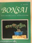 A szép bonsai