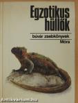 Egzotikus hüllők