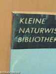 Elemente der dynamischen Optimierung