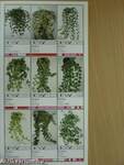Potplanten/Pot Plants/Topfpflanzen/Plantes en pot/Piante da vaso/Planta en particular 1997/98