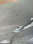 Repülés-ejtőernyőzés 1978. január-december