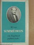 Wenn Semmelweis ein Tagebuch geführt hätte...