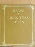 Megye a Duna-Tisza közén (minikönyv)