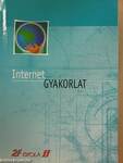 Internet gyakorlat