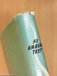 Az emberi test 2. (töredék)