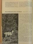 Wild und Hund 15. Oktober 1972