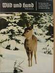 Wild und Hund 26. Dezember 1971