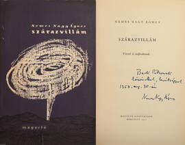 Szárazvillám (Beck Péternek dedikált példány) (Borítóterv: Hajnal Gabriella)