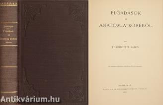 Előadások az anatómia köréből