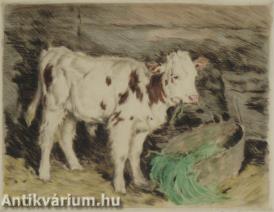 Boci - akvarellel színezett rézkarc, papír 22,5 cm x 29 cm
