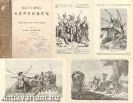 Magyarország képekben I-II. (Többek közt Keleti Gusztáv, Greguss János, Lotz Károly, Than Mór és mások illusztrációival.)