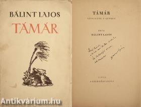 Támár (dedikált, számozott példány) (A címlapot Zádor István rajzolta)