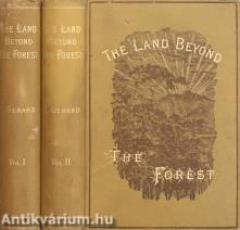 The land beyond the forest
