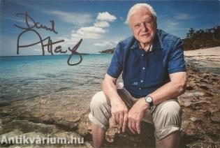 David Attenborough Emmy-díjas természettudós által aláírt színes fotó (Eredeti borítékban!)