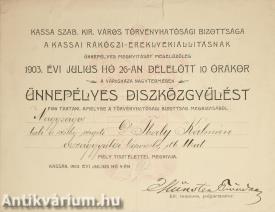 Kassa Szabad Királyi Város Törvényhatósági Bizottsága által Thaly Kálmán részére kiállított meghívó (Münster Tivadar polgármester által aláírt példány) (Egykor a Vasberényi Gyűjtemény része; sz.: 655.)