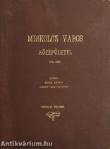 Miskolcz város középületei 1881-1896