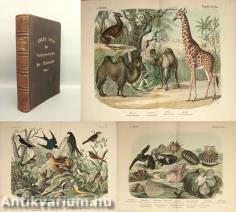 Naturgeschichte des Thierreichs (Gróf Széchényi Ferencnek (1835-1908), Széchényi Ferenc (1754-1820) politikus, könyvtár- és múzeumszervező unokájának könyvtárából származó példány) (A 80 színes litográfiából 7 hiányzik)