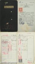 báró Eötvös Loránd, Tuzson János, Entz Géza által aláírt Ráth Aurél Zoltán Budapesti Királyi Magyar Tudomány-egyetemi leckekönyve 1913-1921 (A budapesti tudományegyetem 38 tanára és vezető tisztségviselője, által aláírt példány.)